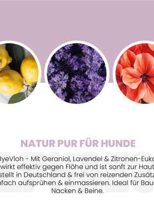 Bye Bye Vloh Flohspray für Hunde
