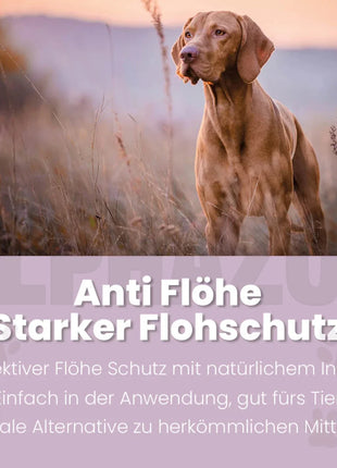 Bye Bye Vloh Spot-On für Hunde