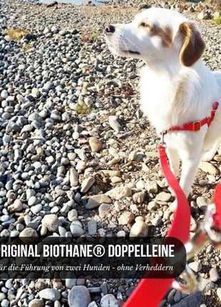 Doppelleine TECHTELMECHTEL aus BioThane® oder POP-Band - mit Edelstahlkomponenten - kein Verheddern