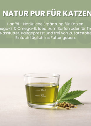 Hanföl für Katzen