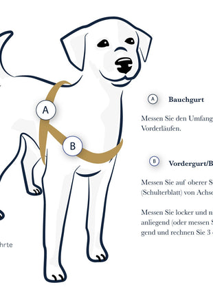 Vorderführgeschirr STURMFREI® Original (16 mm) – XXS & XS - höhenverstellbar aus BioThane®