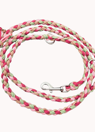 Hundeleine „Rose Sage“ – handgemacht, 2m verstellbar & besonders stabil