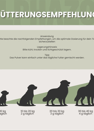MSM Pulver für Hunde