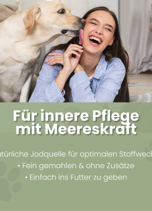 Seealgenmehl für Hunde