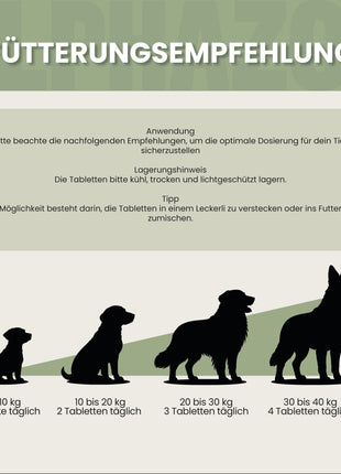 Spielfreude Tabletten