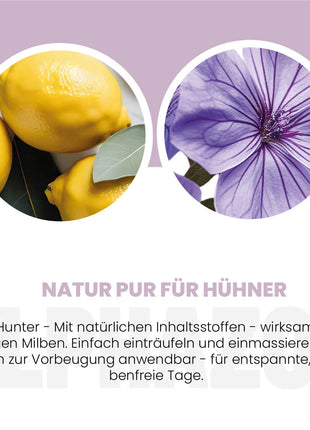 MilbHunter Milbenspray für Hühner