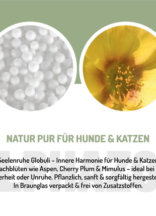 Seelenruhe Bachblüten