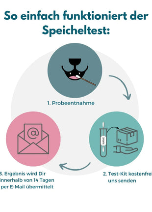 Inhalationsallergene-Test Hund