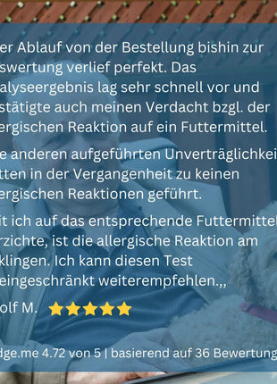 Allergietest Hund